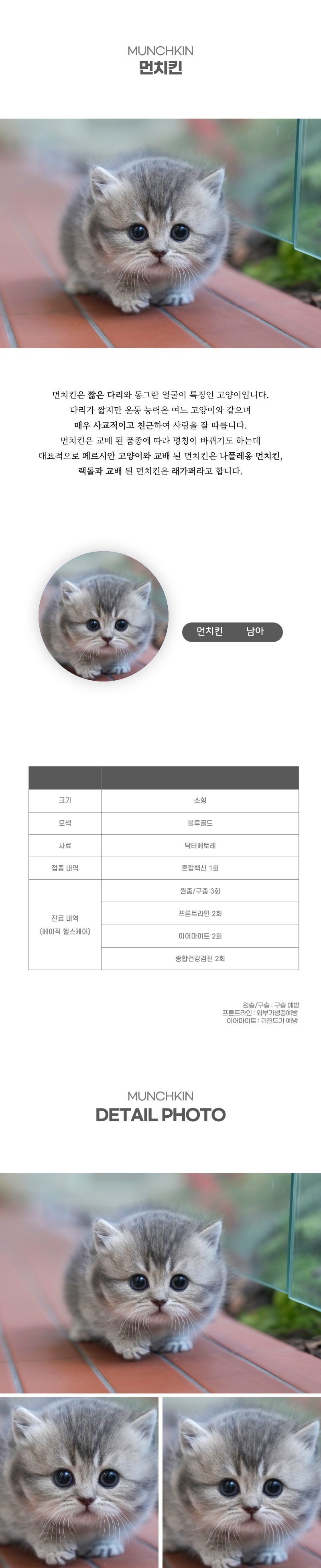 먼치킨_상세이미지_2